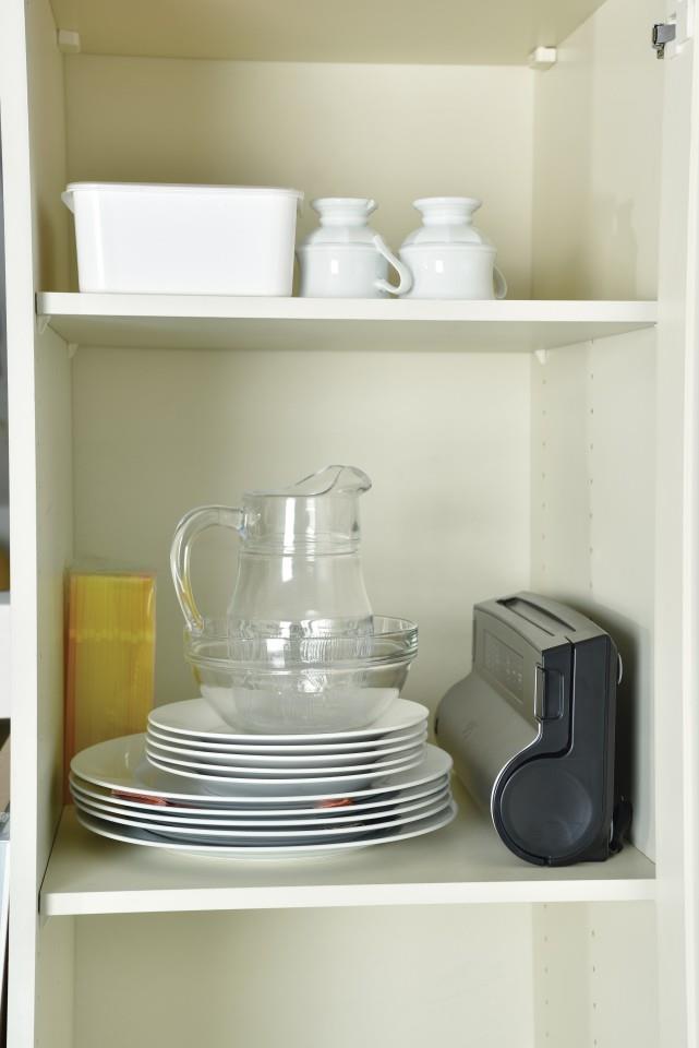 Купить Solis Vac Prestige - Schwarz - Edelstahl - 400 x 190 x 95 mm (922.20) в магазине wardena.ru