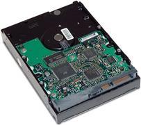 Купить HP - Festplatte - 2TB - intern - 8,9 cm (3.5") - SATA 6Gb/s - 7200 U/min - Puffer: 64MB - für Workstation z210, Z220, Z230, Z420, Z620, Z820 (QB576AA) в магазине wardena.ru