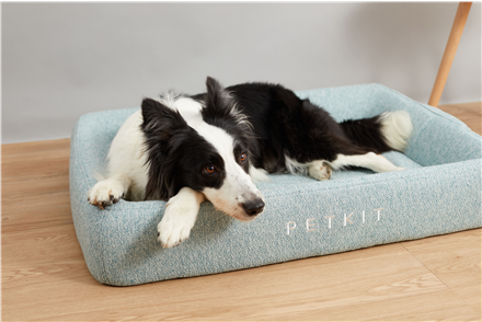 Купить PETKIT Deep Sleep Ganzjahres-Haustierbett L Grün (P7110 L) в магазине wardena.ru