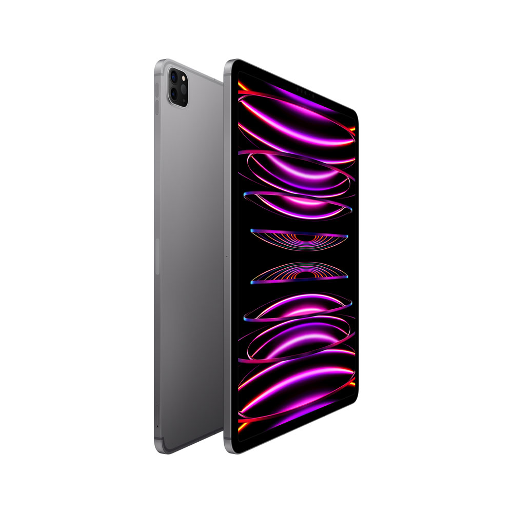 Купить Apple 12.9"  iPad Pro Wi-Fi + Cellular - 6. Generation - Tablet - 256GB - 32,8 cm (12.9") IPS (2732 x 2048) - 3G, 4G, 5G - Space-grau (MP203FD/A) в магазине wardena.ru