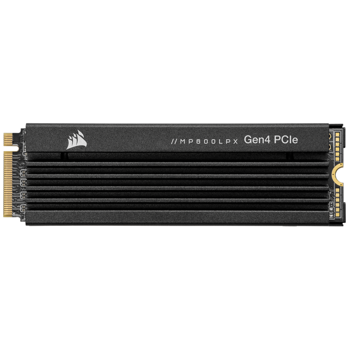 Купить CORSAIR MP600 PRO LPX - SSD - 2TB - intern - M.2 2280 - PCI Express 4,0 x4 (NVMe) - 256-Bit-AES - integrierter Kühlkörper (CSSD-F2000GBMP600PLP) в магазине wardena.ru