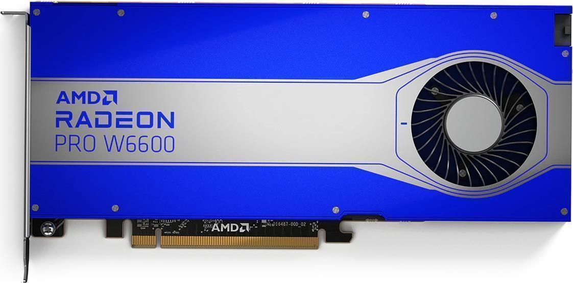 Купить AMD Radeon Pro W6600 - Grafikkarten - Radeon Pro W6600 - 8 GB GDDR6 - PCIe 4.0 x8 - 4 x DisplayPort (100-506159) в магазине wardena.ru
