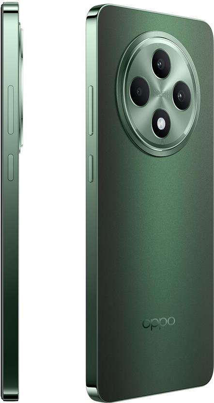 Купить OPPO Reno12 FS 5G 16,9 cm (6.67") Dual-SIM Android 14 USB Typ-C 12 GB 512 GB 5000 mAh Grün () в магазине wardena.ru