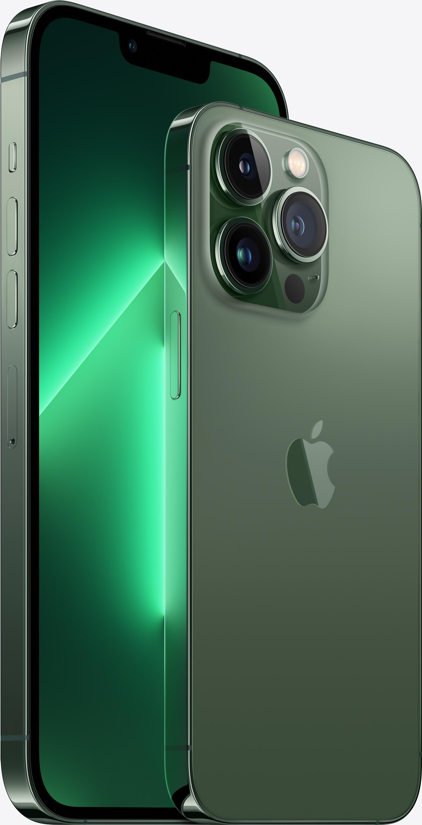 Купить Apple iPhone 13 Pro Max - 5G Smartphone - Dual-SIM - 1 TB - OLED-Display - 6.7" - 2778 x 1284 Pixel (120 Hz) - Triple-Kamera 12 MP, 12 MP, 12 MP - front camera 12 MP - Alpine Green (MND23ZD/A) в магазине wardena.ru