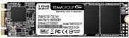 Купить Team Group MS30 - SSD - 1 TB - intern - M.2 2280 - SATA 6Gb/s (TM8PS7001T0C101) в магазине wardena.ru