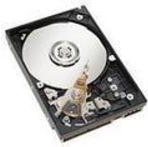 Купить IBM Lenovo - Festplatte - 450 GB - Hot-Swap - 3.5" (8.9 cm) - SAS - 15000 U/min - Express Seller - für System x32XX, x32XX M2, x32XX M3, x3350, x3400, x3400 M2, x3500 M2, x35XX (49Y3728) в магазине wardena.ru