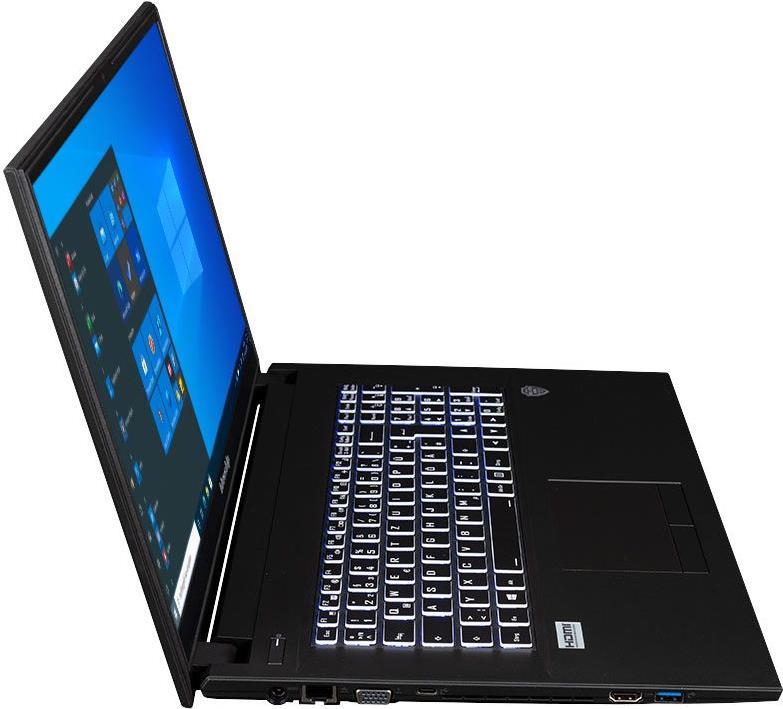 Купить bluechip TRAVELline B17W24 - Core i5 10210U / 1,6 GHz - Win 10 Pro 64-Bit - 8GB RAM - 250GB SSD NVMe - DVD-Writer - 43,9 cm (17.3") IPS 1920 x 1080 (Full HD) - UHD Graphics - Wi-Fi 6, Bluetooth - 4G-aufrüstbar - BTO (881 (881259) в магазине wardena.ru