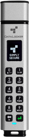 Купить ORIGIN STORAGE SENTRY K350 FIPS SECURE USB 3.1 KEYPAD FLASH DRIVE 256-BIT AES 1 (SK350-016-FE) в магазине wardena.ru