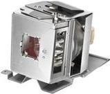 Купить VIVITEK projector lamp XX5810005600 for DX273/DW275/DH278/DX283-ST/DW284-ST D200 series (XX5810005600) в магазине wardena.ru