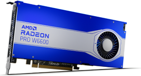 Купить AMD Radeon Pro W6600 - Grafikkarten - Radeon Pro W6600 - 8 GB GDDR6 - PCIe 4.0 x8 - 4 x DisplayPort (100-506159) в магазине wardena.ru