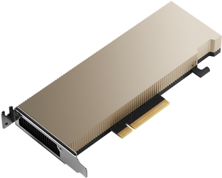 Купить PNY Electronics NVIDIA A2 - GPU-Rechenprozessor - A2 - 16 GB GDDR6 - PCIe 4.0 x8 Low-Profile - ohne Lüfter (TCSA2MATX-PB) в магазине wardena.ru