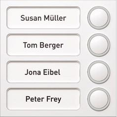 Купить Ritto 1875470 Interkom-System-Zubehör Call button module (1875470) в магазине wardena.ru