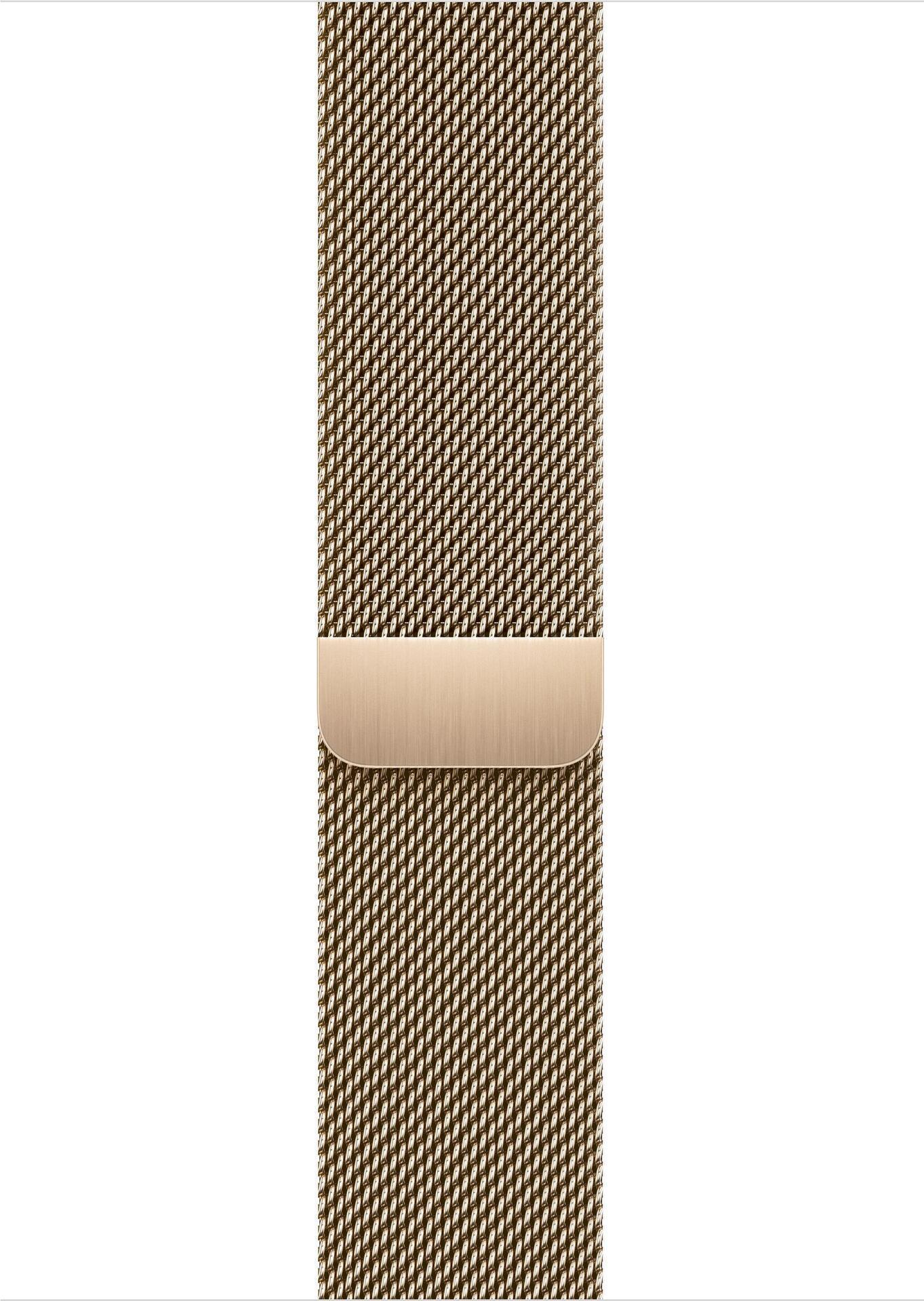 Купить Apple - Loop für Smartwatch - 150 - 200 mm - Gold (ML763ZM/A) в магазине wardena.ru