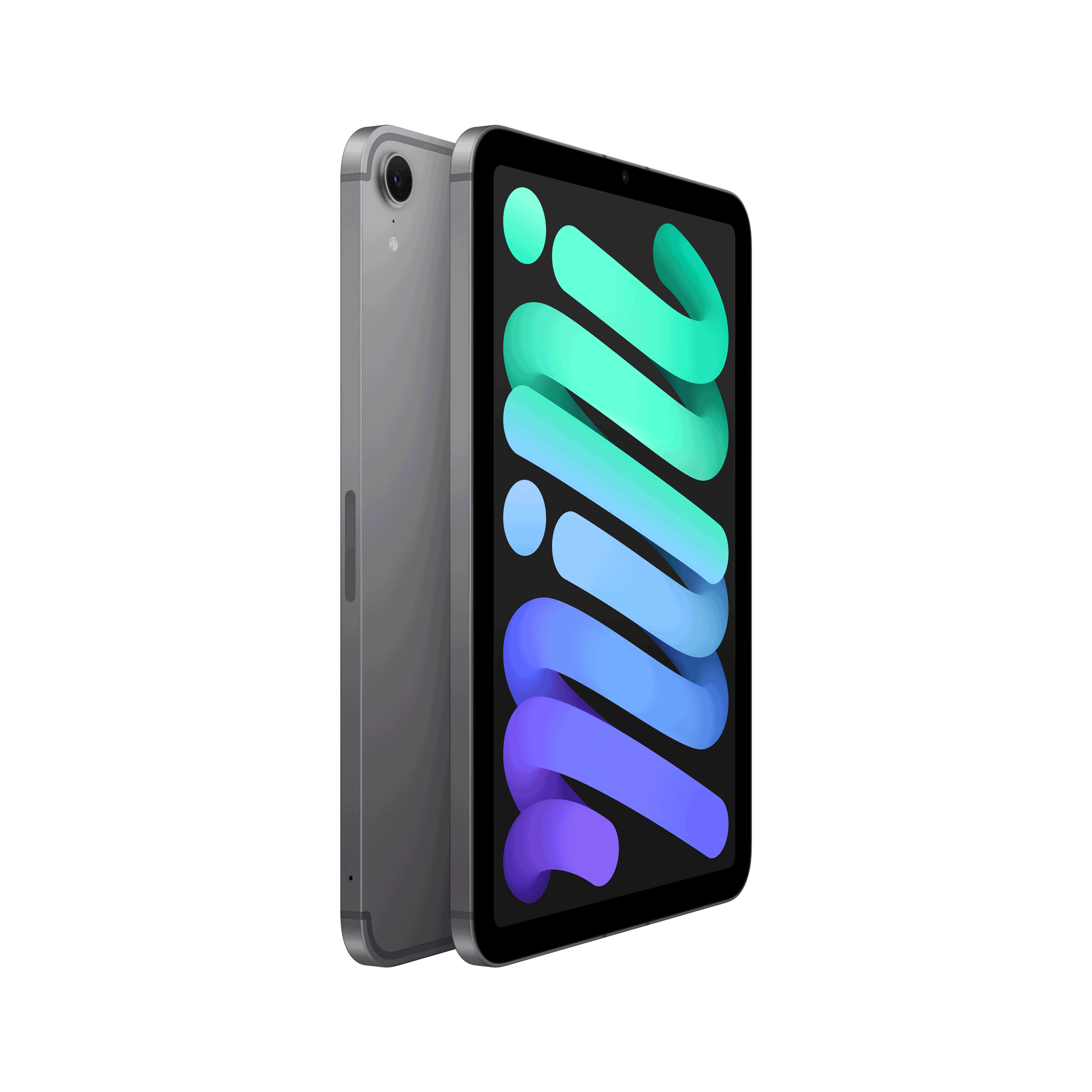 Купить Apple iPad mini 8.3 Wi-Fi + Cellular 512GB (spacegrau) (MYHC3NF/A) в магазине wardena.ru
