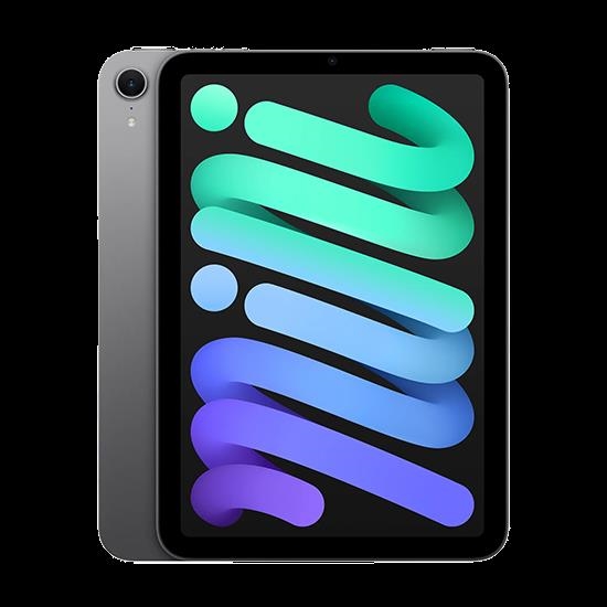 Купить Apple iPad mini Wi-Fi - Space Grey - 128 GB - 21,1 cm (MXN63TY/A) в магазине wardena.ru