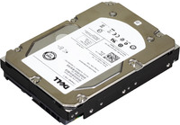 Купить Dell - Festplatte - 450 GB - intern - SAS - 15000 U/min - wiederhergestellt (R749K) в магазине wardena.ru