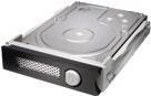 Купить G-Technology StudioRAID Module - Ersatzteil - Festplatte - 8 TB - Hot-Swap - SATA 6Gb/s - 7200 U/min (0G04347-1) в магазине wardena.ru