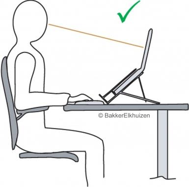 Купить Bakker Elkhuizen Ergo-Q 260 30,50cm (12")  - Notebook-Ständer (BNEQ26012) в магазине wardena.ru