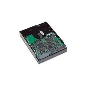 Купить HP - Festplatte - 1 TB - intern - 3.5" (8.9 cm) - SATA 3Gb/s - 7200 U/min - Puffer: 32 MB - für Workstation xw4600, xw6600, xw8600, xw9400, z200, z400, z600, z800 (GE262AA) в магазине wardena.ru
