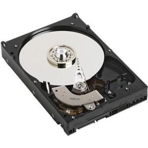 Купить Dell - Festplatte - 1 TB - 8.9 cm (3.5") - SAS 6Gb/s - 7200 U/min (GPP3G) в магазине wardena.ru