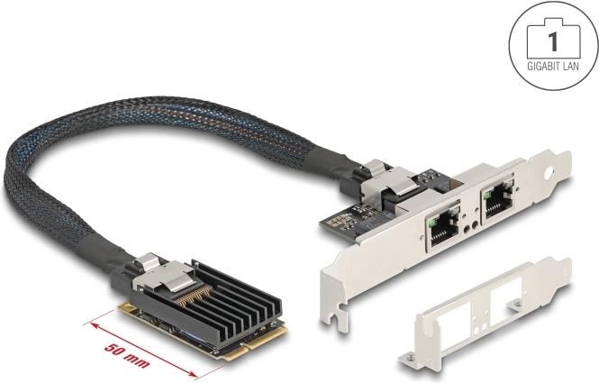 Купить Delock Mini PCIe I/O full size 2 x RJ45 Gigabit LAN (95280) в магазине wardena.ru