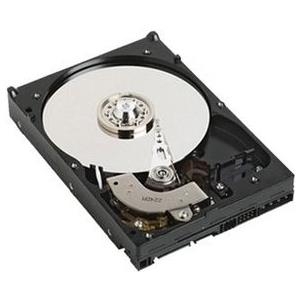 Купить Dell - Festplatte - 500 GB - Hot-Swap - 3.5" (8.9 cm) - SATA 3Gb/s - 7200 U/min - wiederhergestellt (WM327) в магазине wardena.ru