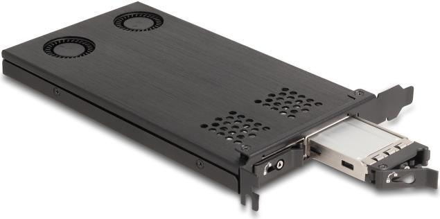 Купить Delock PCI Express x16 Karte Wechselrahmen für 2 x M.2 NVMe SSD - Bifurcation (47042) в магазине wardena.ru